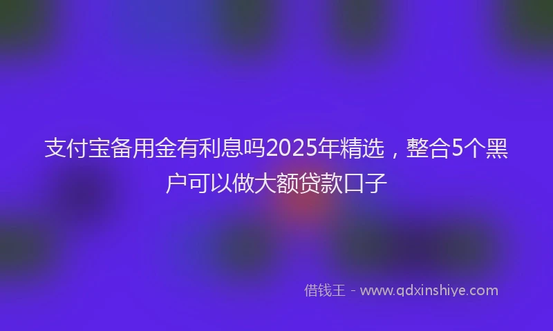 支付宝备用金有利息吗2025年精选，整合5个黑户可以做大额贷款口子
