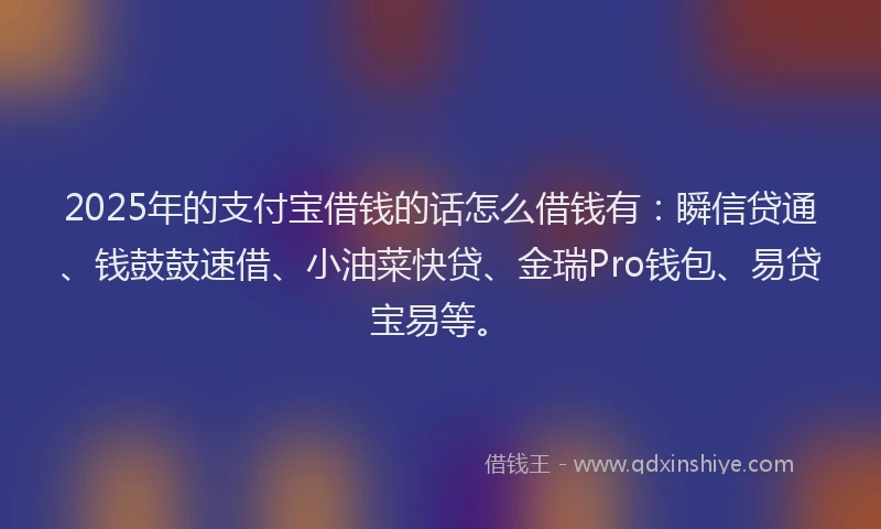 2025年的支付宝借钱的话怎么借钱有：瞬信贷通、钱鼓鼓速借、小油菜快贷、金瑞Pro钱包、易贷宝易等。