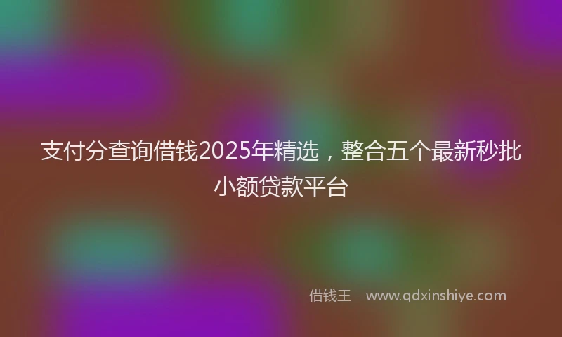 支付分查询借钱2025年精选，整合五个最新秒批小额贷款平台
