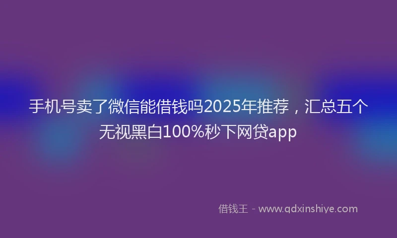 手机号卖了微信能借钱吗2025年推荐，汇总五个无视黑白100%秒下网贷app
