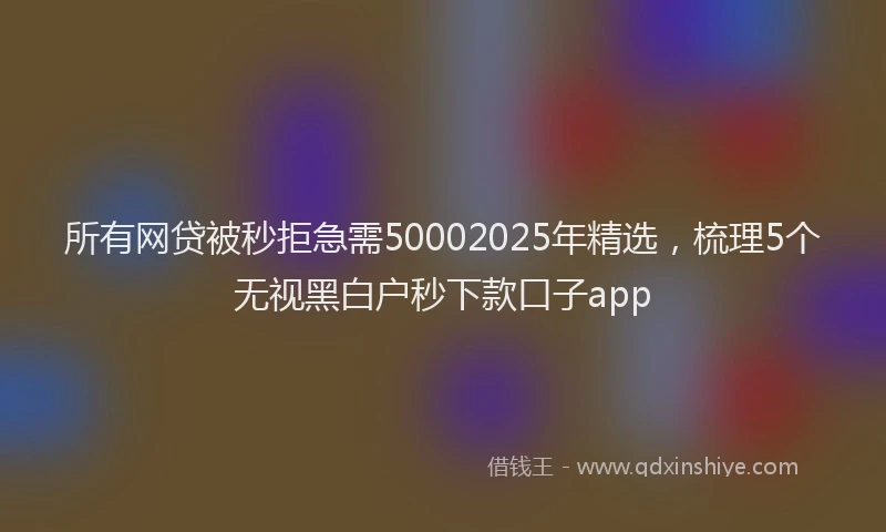 所有网贷被秒拒急需50002025年精选，梳理5个无视黑白户秒下款口子app