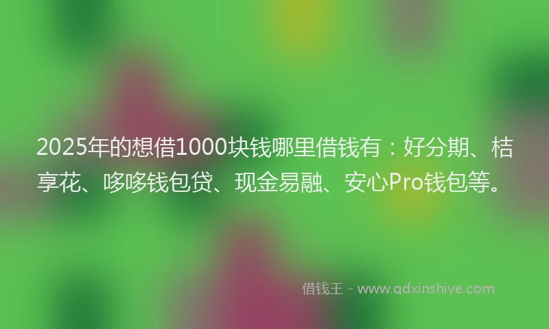 2025年的想借1000块钱哪里借钱有：好分期、桔享花、哆哆钱包贷、现金易融、安心Pro钱包等。