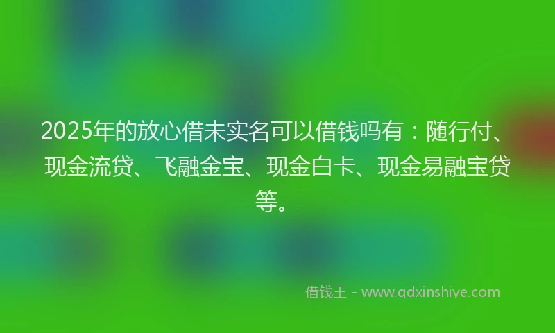 2025年的放心借未实名可以借钱吗有：随行付、现金流贷、飞融金宝、现金白卡、现金易融宝贷等。
