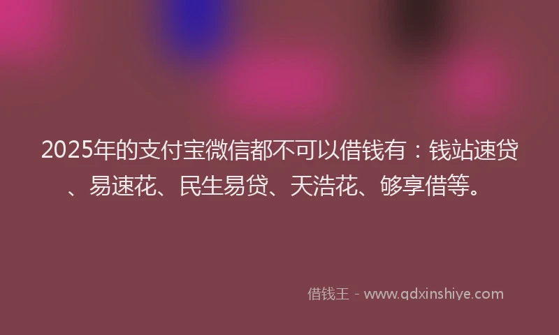 2025年的支付宝微信都不可以借钱有：钱站速贷、易速花、民生易贷、天浩花、够享借等。