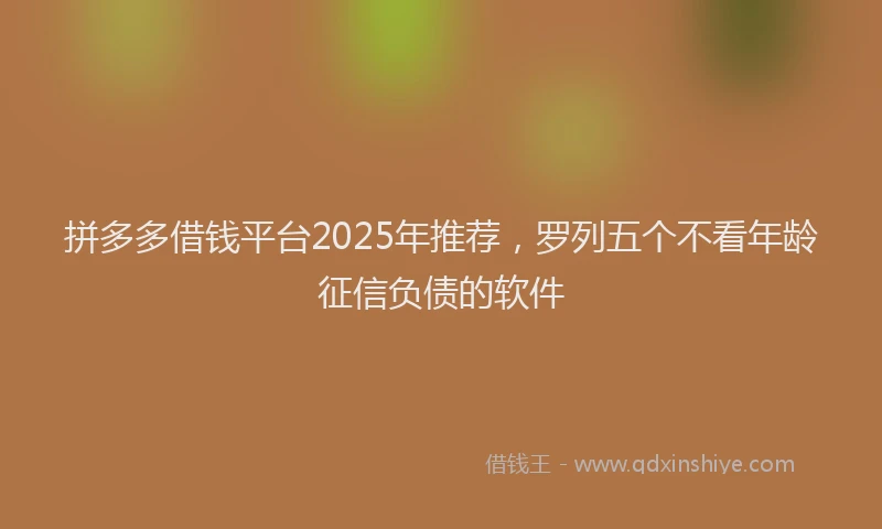 拼多多借钱平台2025年推荐，罗列五个不看年龄征信负债的软件