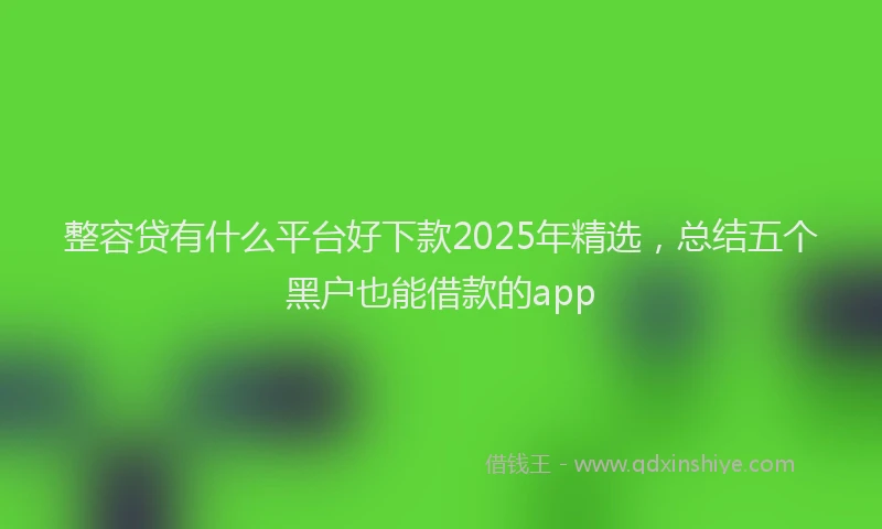 整容贷有什么平台好下款2025年精选，总结五个黑户也能借款的app