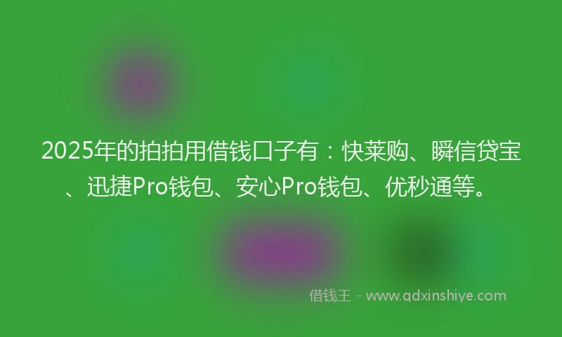 2025年的拍拍用借钱口子有：快莱购、瞬信贷宝、迅捷Pro钱包、安心Pro钱包、优秒通等。