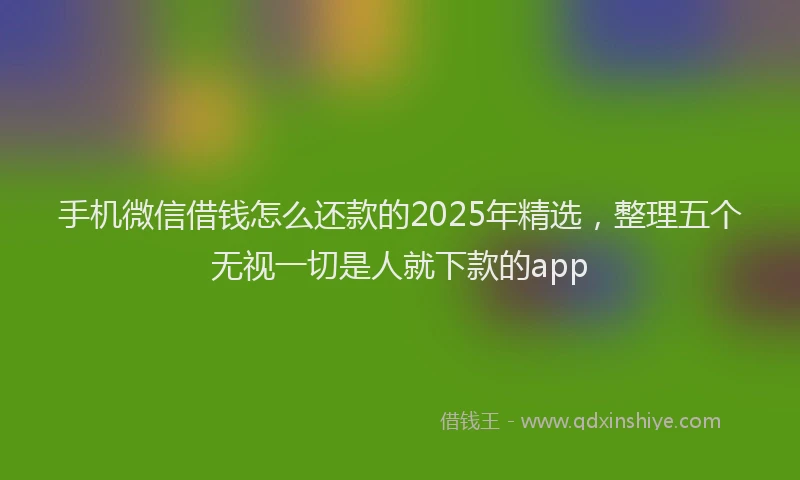 手机微信借钱怎么还款的2025年精选，整理五个无视一切是人就下款的app