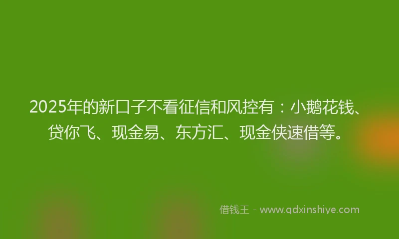 2025年的新口子不看征信和风控有：小鹅花钱、贷你飞、现金易、东方汇、现金侠速借等。