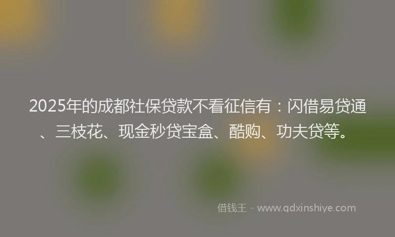 2025年的成都社保贷款不看征信有：闪借易贷通、三枝花、现金秒贷宝盒、酷购、功夫贷等。