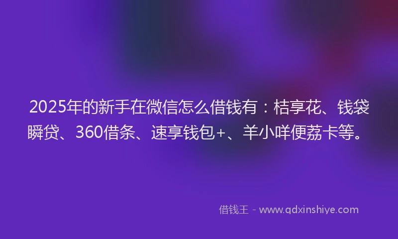 2025年的新手在微信怎么借钱有：桔享花、钱袋瞬贷、360借条、速享钱包+、羊小咩便荔卡等。