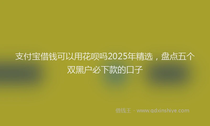 支付宝借钱可以用花呗吗2025年精选，盘点五个双黑户必下款的口子