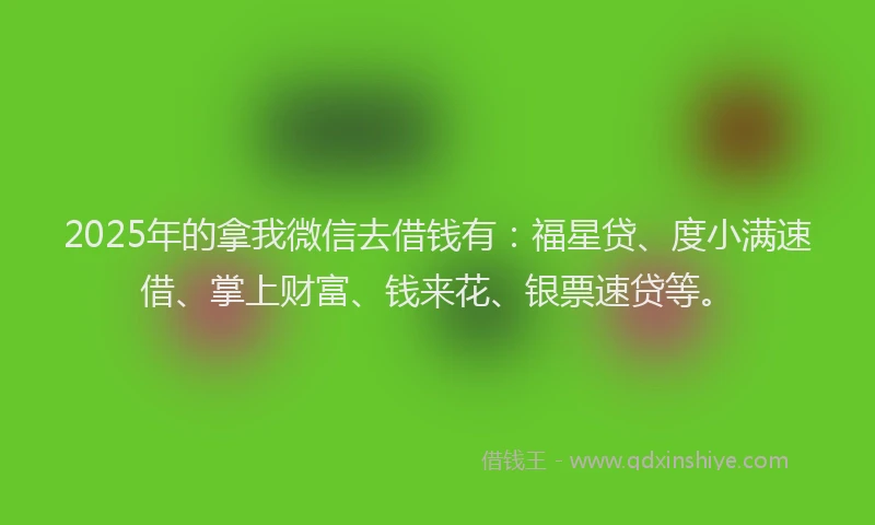 2025年的拿我微信去借钱有：福星贷、度小满速借、掌上财富、钱来花、银票速贷等。