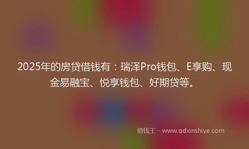 2025年的房贷借钱有：瑞泽Pro钱包、E享购、现金易融宝、悦享钱包、好期贷等。