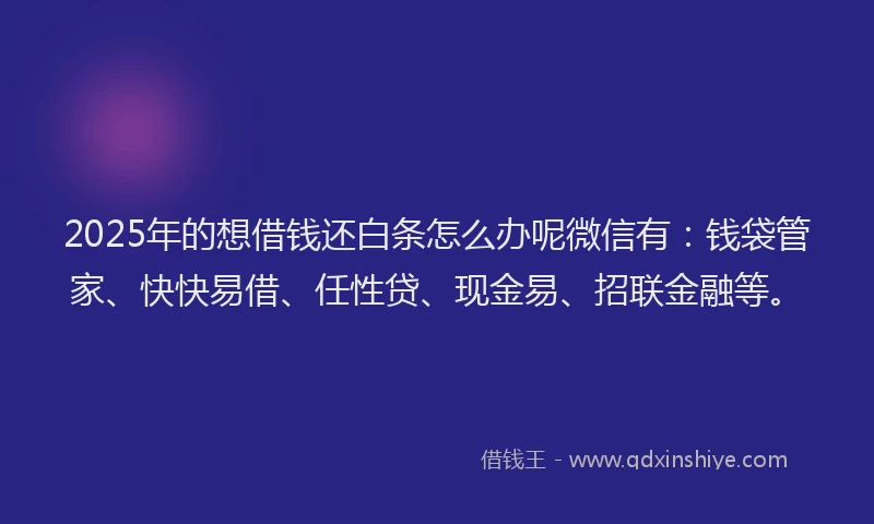 2025年的想借钱还白条怎么办呢微信有：钱袋管家、快快易借、任性贷、现金易、招联金融等。