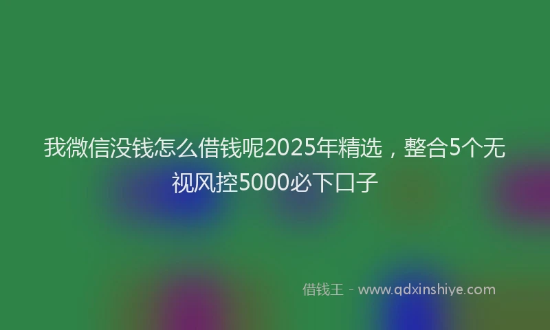 我微信没钱怎么借钱呢2025年精选，整合5个无视风控5000必下口子