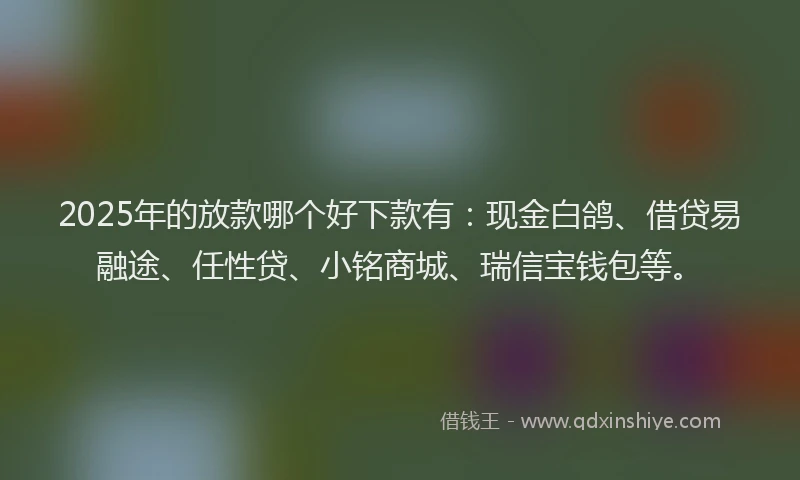 2025年的放款哪个好下款有：现金白鸽、借贷易融途、任性贷、小铭商城、瑞信宝钱包等。
