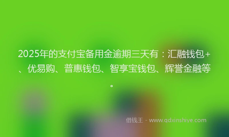 2025年的支付宝备用金逾期三天有：汇融钱包+、优易购、普惠钱包、智享宝钱包、辉誉金融等。
