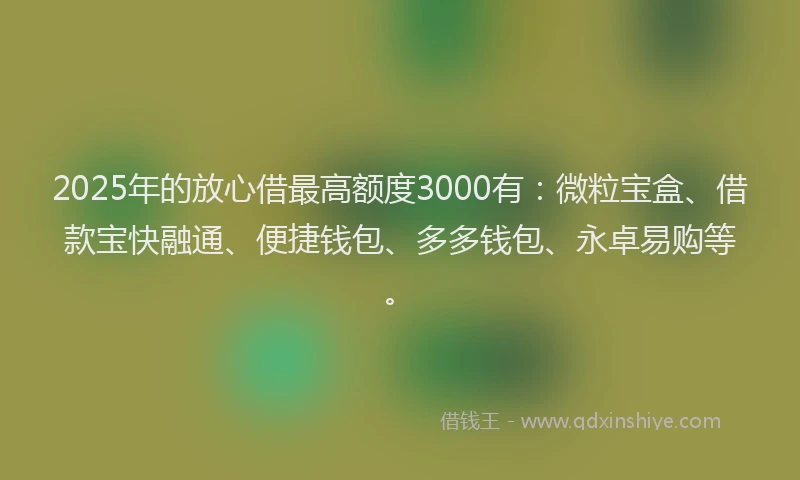 2025年的放心借最高额度3000有：微粒宝盒、借款宝快融通、便捷钱包、多多钱包、永卓易购等。