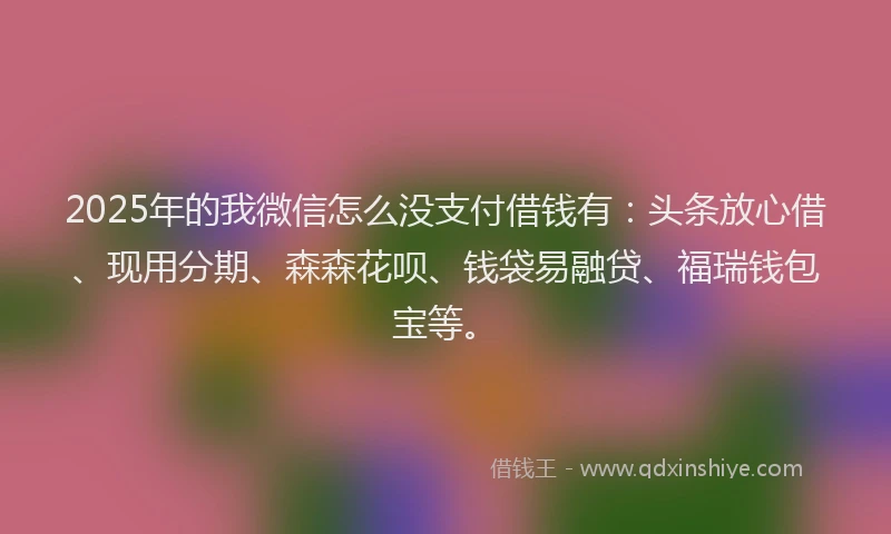 2025年的我微信怎么没支付借钱有：头条放心借、现用分期、森森花呗、钱袋易融贷、福瑞钱包宝等。