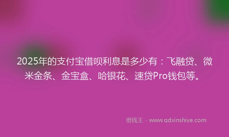 2025年的支付宝借呗利息是多少有：飞融贷、微米金条、金宝盒、哈银花、速贷Pro钱包等。
