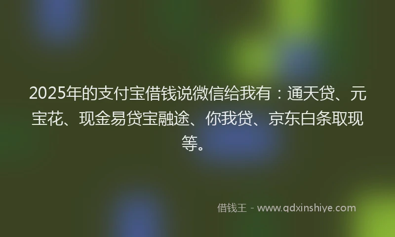 2025年的支付宝借钱说微信给我有：通天贷、元宝花、现金易贷宝融途、你我贷、京东白条取现等。