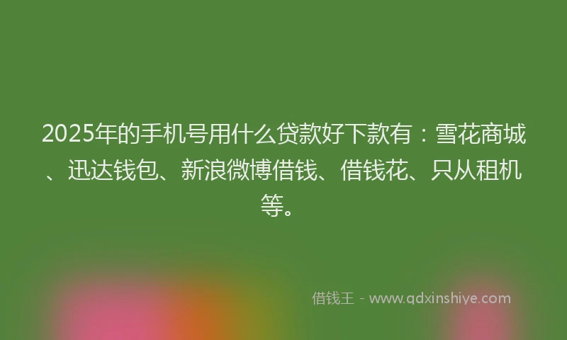 2025年的手机号用什么贷款好下款有：雪花商城、迅达钱包、新浪微博借钱、借钱花、只从租机等。