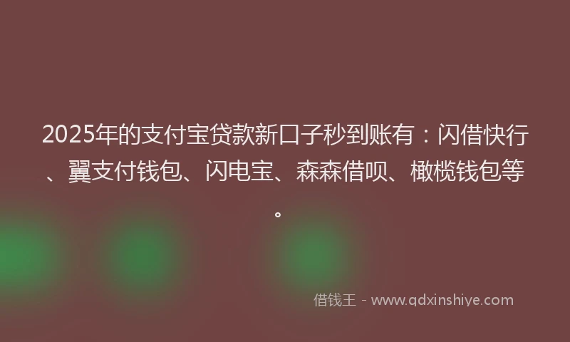 2025年的支付宝贷款新口子秒到账有：闪借快行、翼支付钱包、闪电宝、森森借呗、橄榄钱包等。