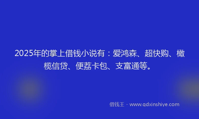 2025年的掌上借钱小说有：爱鸿森、超快购、橄榄信贷、便荔卡包、支富通等。