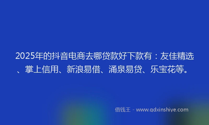 2025年的抖音电商去哪贷款好下款有：友佳精选、掌上信用、新浪易借、涌泉易贷、乐宝花等。