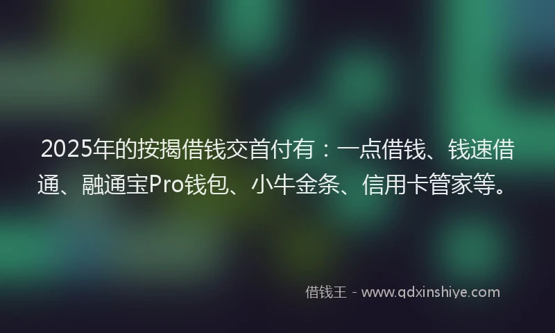 2025年的按揭借钱交首付有：一点借钱、钱速借通、融通宝Pro钱包、小牛金条、信用卡管家等。