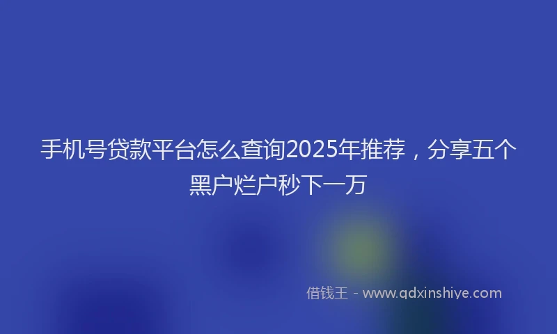 手机号贷款平台怎么查询2025年推荐，分享五个黑户烂户秒下一万