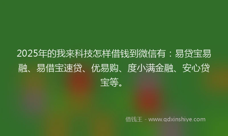 2025年的我来科技怎样借钱到微信有：易贷宝易融、易借宝速贷、优易购、度小满金融、安心贷宝等。