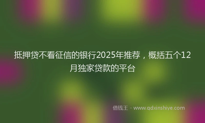 抵押贷不看征信的银行2025年推荐，概括五个12月独家贷款的平台