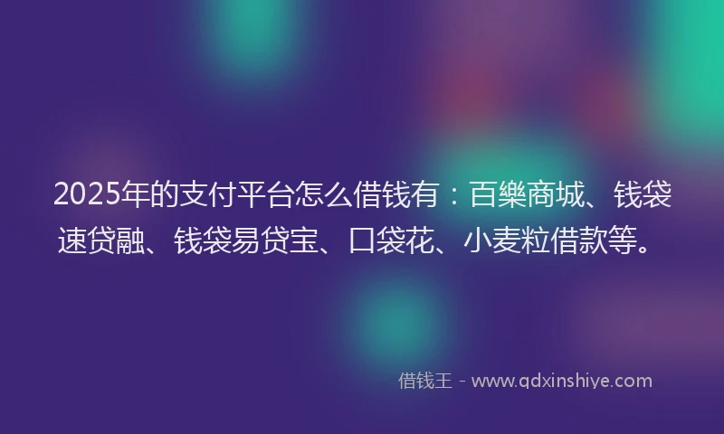 2025年的支付平台怎么借钱有：百樂商城、钱袋速贷融、钱袋易贷宝、口袋花、小麦粒借款等。