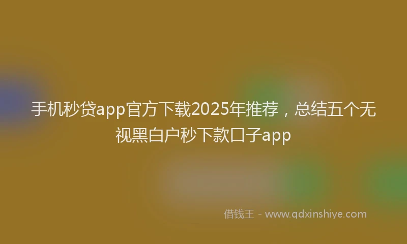 手机秒贷app官方下载2025年推荐，总结五个无视黑白户秒下款口子app