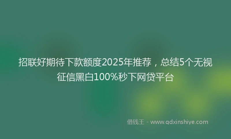 招联好期待下款额度2025年推荐，总结5个无视征信黑白100%秒下网贷平台
