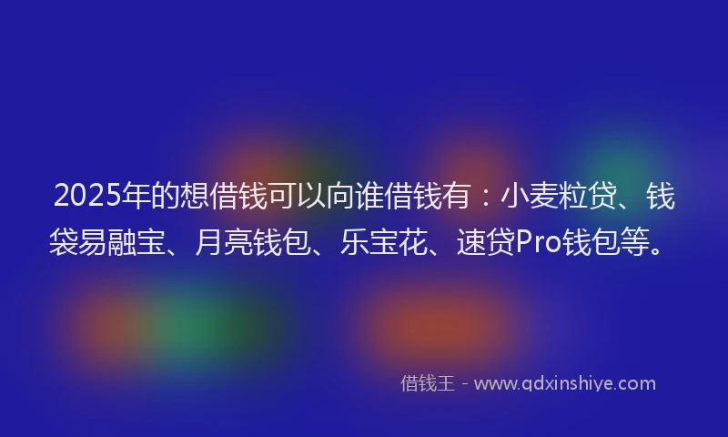 2025年的想借钱可以向谁借钱有：小麦粒贷、钱袋易融宝、月亮钱包、乐宝花、速贷Pro钱包等。