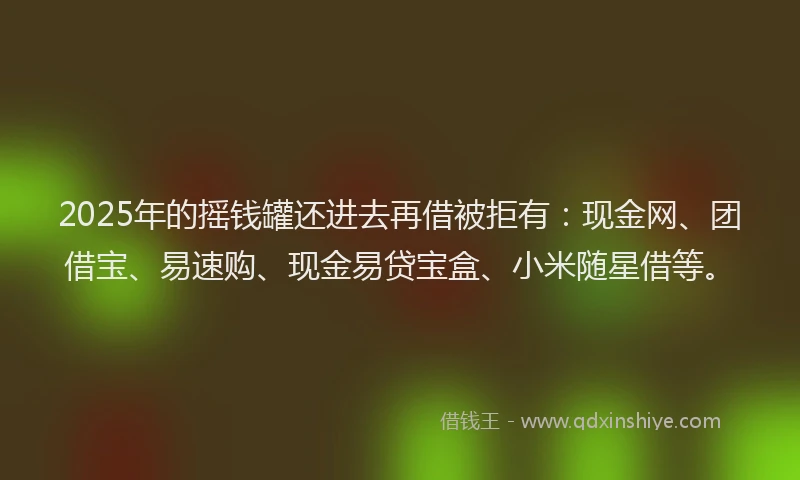 2025年的摇钱罐还进去再借被拒有：现金网、团借宝、易速购、现金易贷宝盒、小米随星借等。