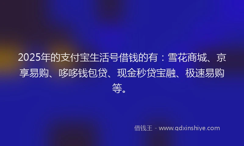2025年的支付宝生活号借钱的有：雪花商城、京享易购、哆哆钱包贷、现金秒贷宝融、极速易购等。