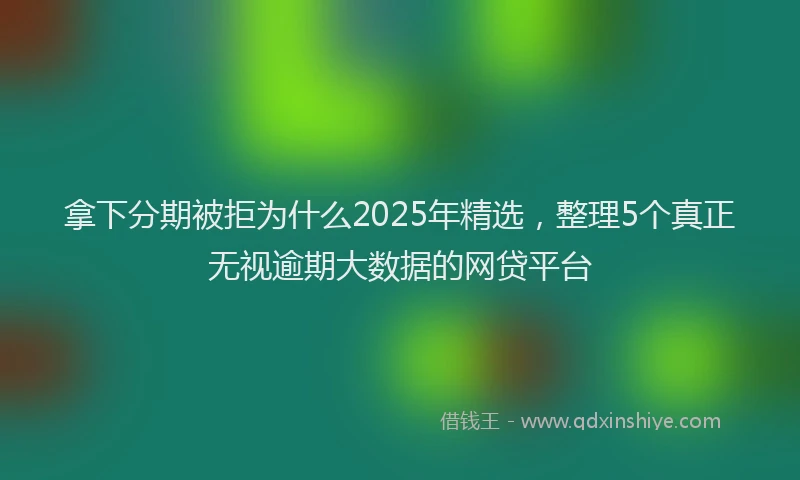拿下分期被拒为什么2025年精选，整理5个真正无视逾期大数据的网贷平台