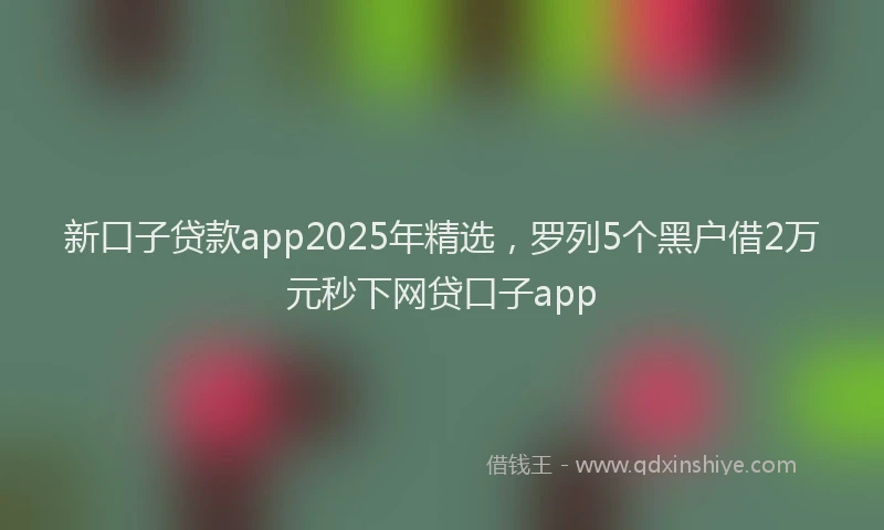 新口子贷款app2025年精选，罗列5个黑户借2万元秒下网贷口子app