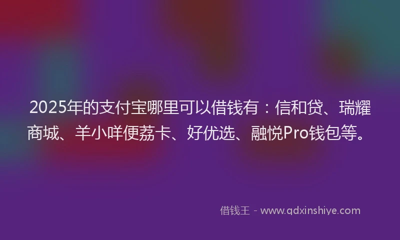 2025年的支付宝哪里可以借钱有：信和贷、瑞耀商城、羊小咩便荔卡、好优选、融悦Pro钱包等。