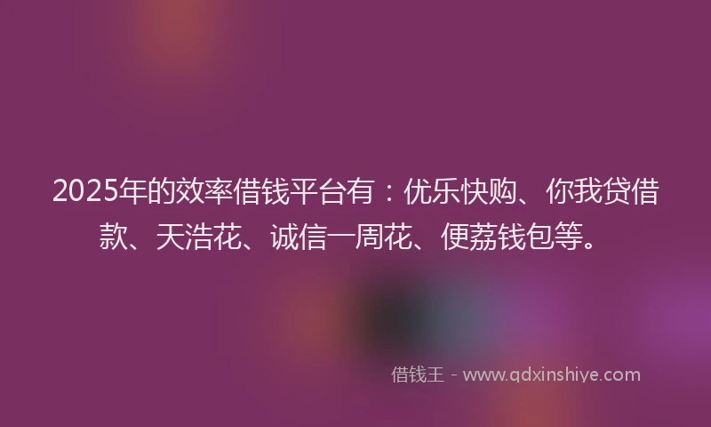 2025年的效率借钱平台有：优乐快购、你我贷借款、天浩花、诚信一周花、便荔钱包等。