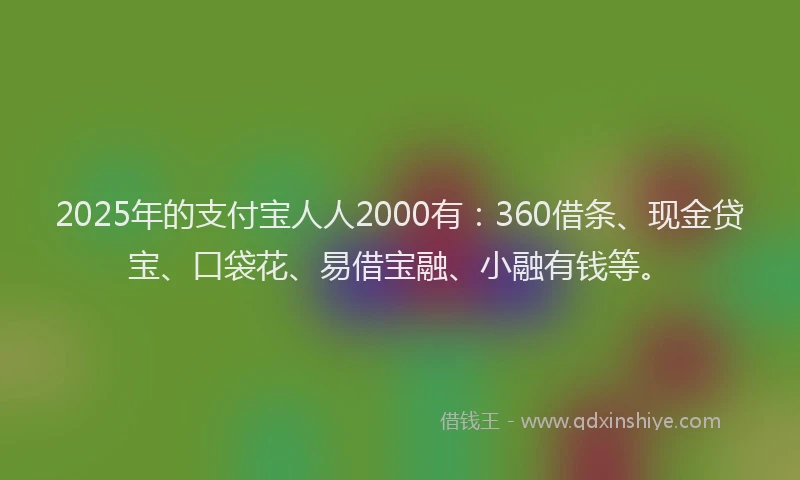2025年的支付宝人人2000有：360借条、现金贷宝、口袋花、易借宝融、小融有钱等。