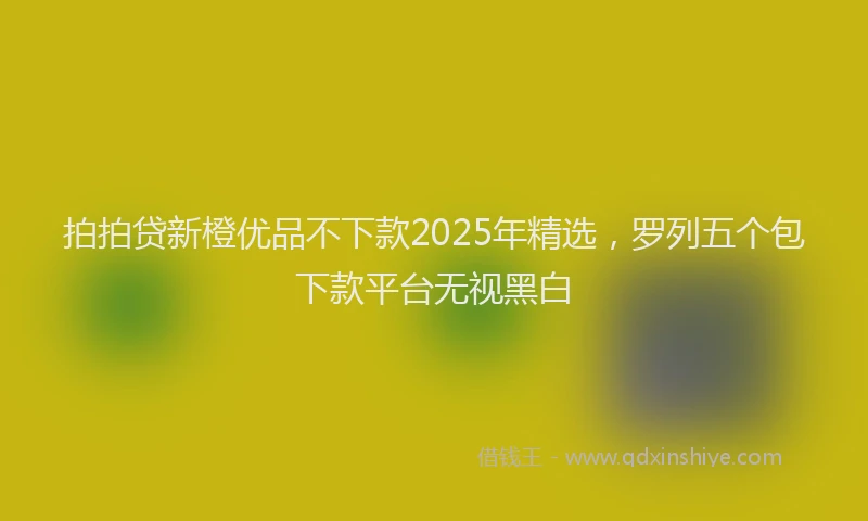 拍拍贷新橙优品不下款2025年精选，罗列五个包下款平台无视黑白