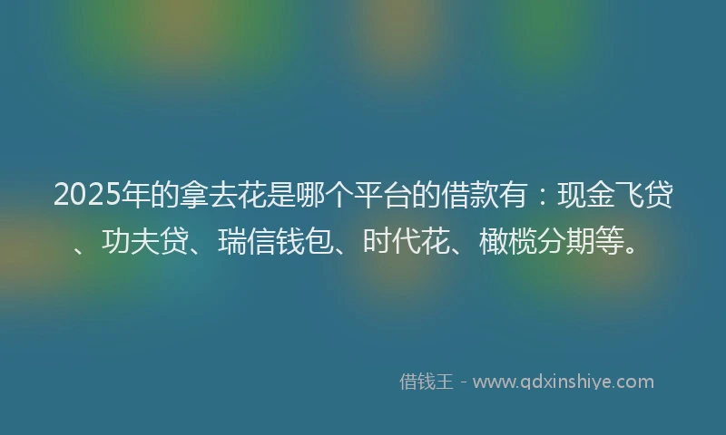 2025年的拿去花是哪个平台的借款有：现金飞贷、功夫贷、瑞信钱包、时代花、橄榄分期等。