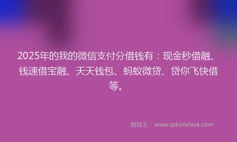 2025年的我的微信支付分借钱有：现金秒借融、钱速借宝融、天天钱包、蚂蚁微贷、贷你飞快借等。