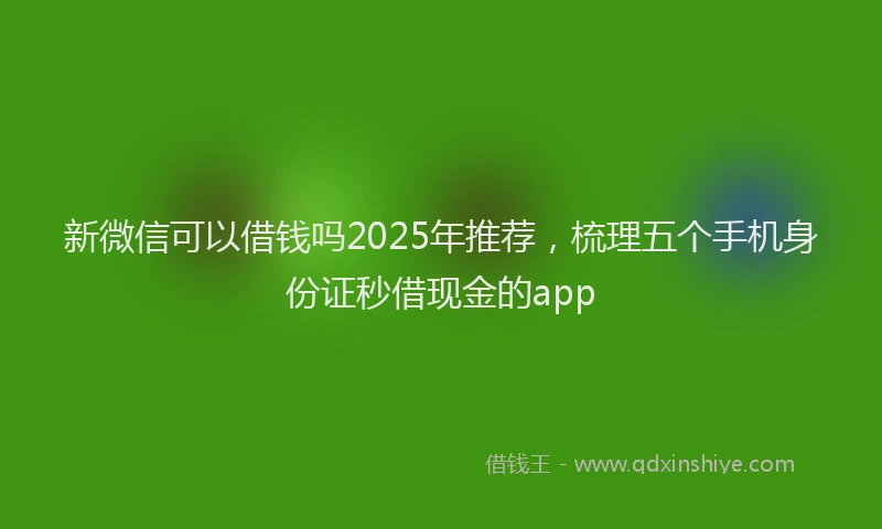 新微信可以借钱吗2025年推荐，梳理五个手机身份证秒借现金的app