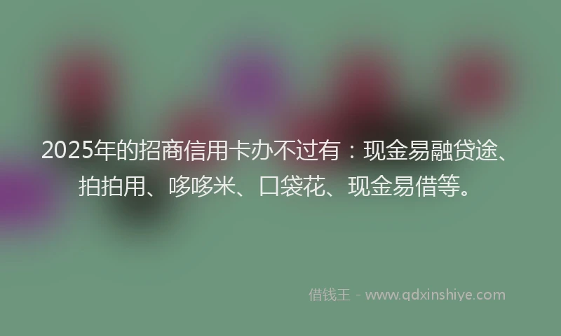 2025年的招商信用卡办不过有：现金易融贷途、拍拍用、哆哆米、口袋花、现金易借等。
